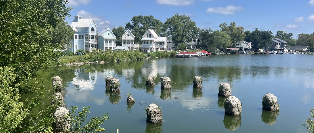 Crane Lake